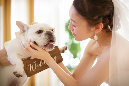 愛犬と一緒にウエディング
