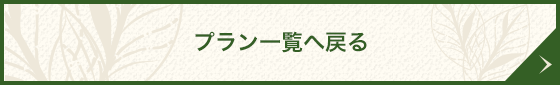 プラン一覧へ戻る